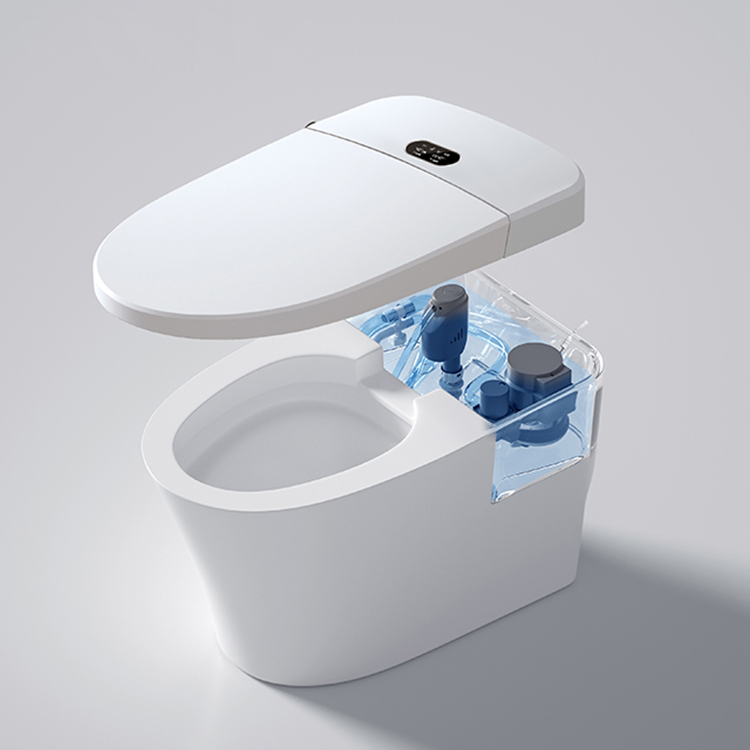 Modern Smart Toilet Digital Di - Home Bathroom Ware recension och pris