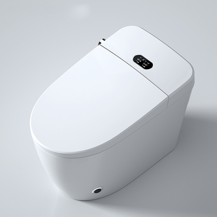 Modern Smart Toilet Digital Di - Home Bathroom Ware recension och pris