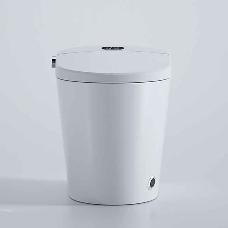 Modern Smart Toilet Digital Di - Home Bathroom Ware recension och pris