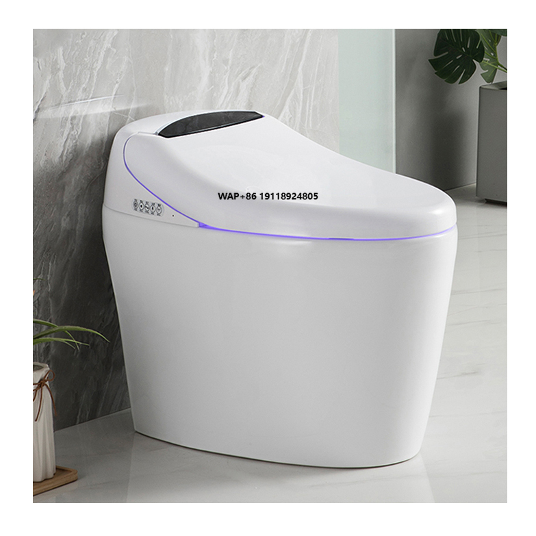 High End Automatic Flush Sanit - Home Bathroom Ware recension och pris
