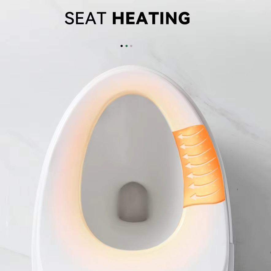 High End Automatic Flush Sanit - Home Bathroom Ware recension och pris