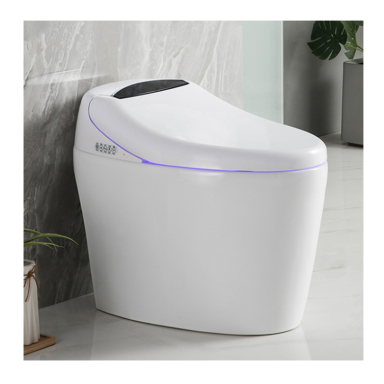 High-end Automatic Flush, Sani - Home Bathroom Ware recension och pris