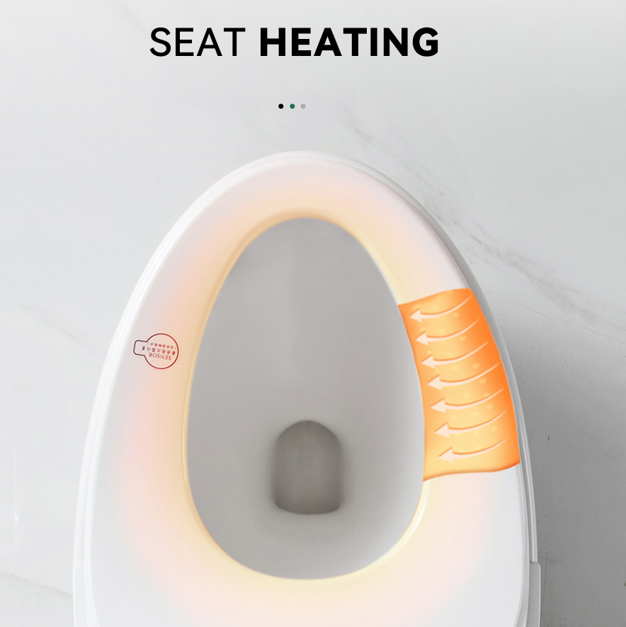 High-end Automatic Flush, Sani - Home Bathroom Ware recension och pris
