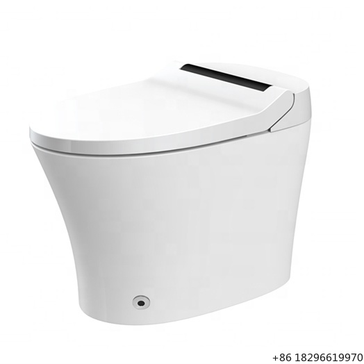 Easy Installation Electric Bid - Home Bathroom Ware recension och pris