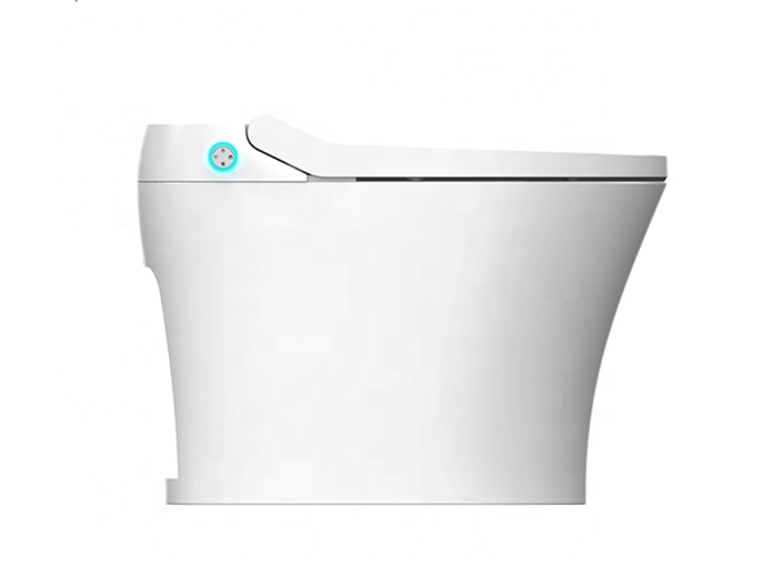 Easy Installation Electric Bid - Home Bathroom Ware recension och pris