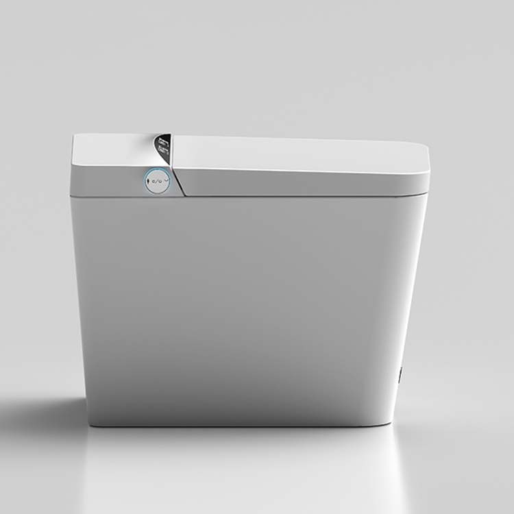 Floor Mounted Smart Toilet, CU - Home Bathroom Ware recension och pris