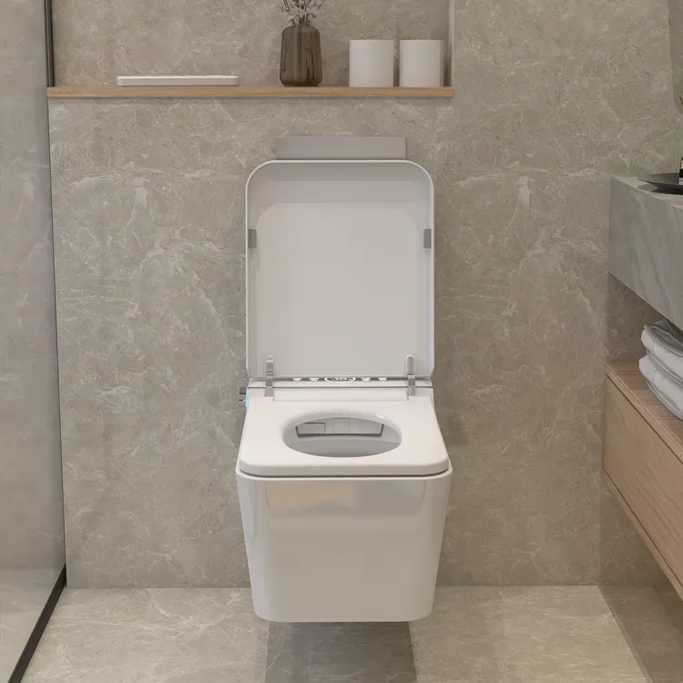 Wall Hung Smart Toilet App Con - Home Bathroom Ware recension och pris